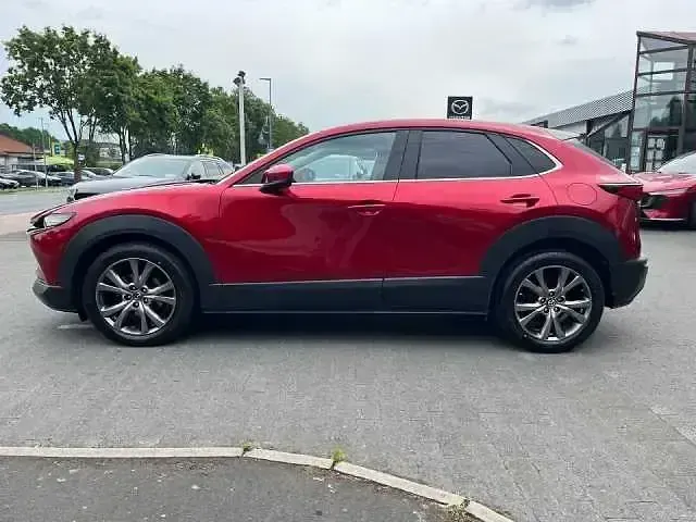 Gebraucht Mazda CX-30 Selection 179 PS (131 kW) 2019 Magmarot (metallic) SUV