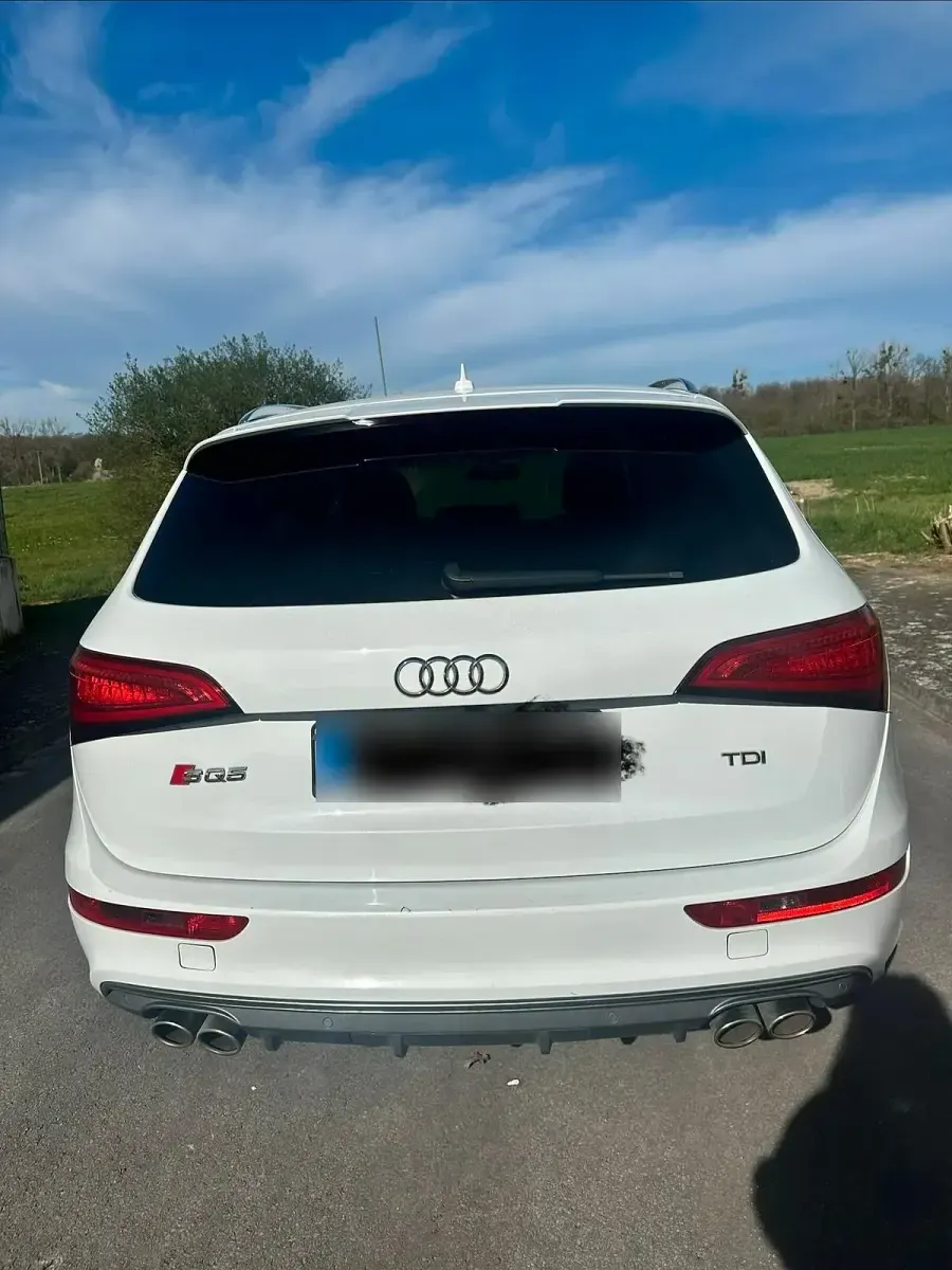 Gebraucht Audi SQ5 Competition 326 PS (239 kW) 2016 Weiß SUV