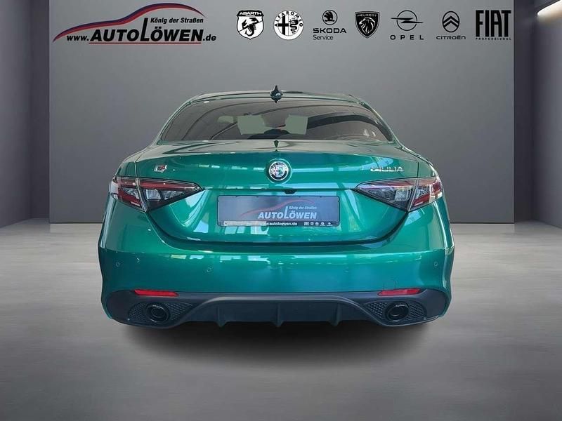 Neu Alfa Romeo Giulia 280 PS (205 kW) 2025 Verde montreal, speziallackie Limousine