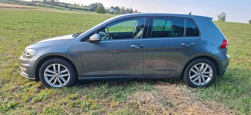 Gebraucht VW Golf VII Comfortline 150 PS (110 kW) 2017 Grau Limousine