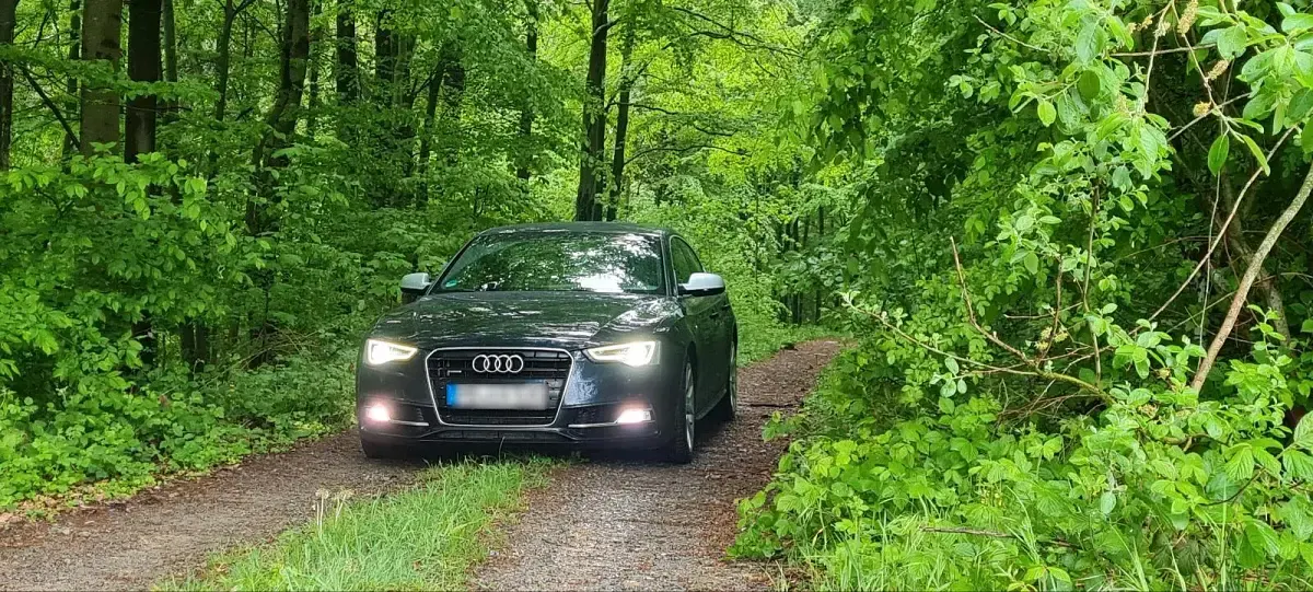 Gebraucht Audi A5 S-Line 245 PS (180 kW) 2014 Blau Coupé