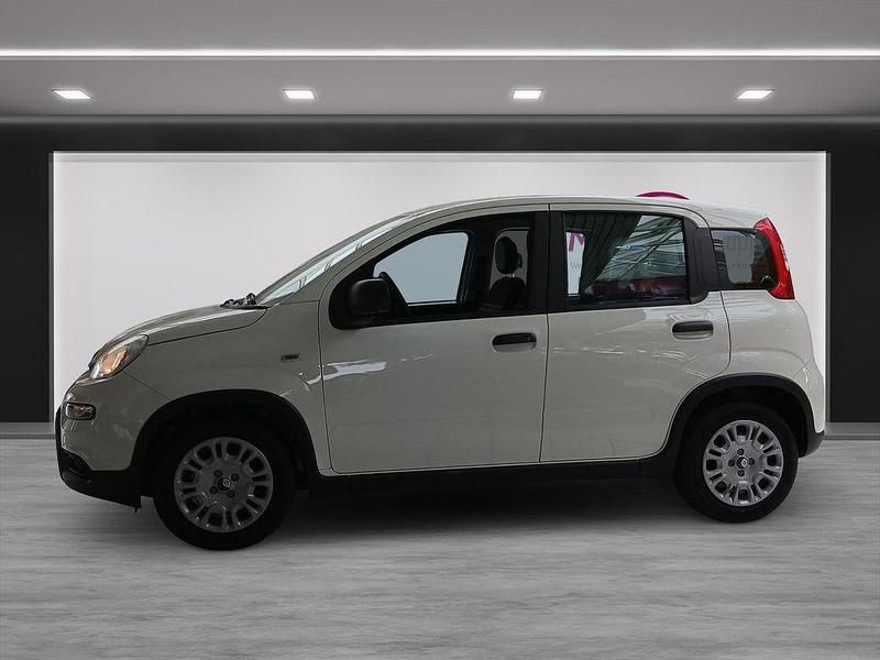 Gebraucht Fiat Panda 69 PS (50 kW) 2024 Weiß Limousine