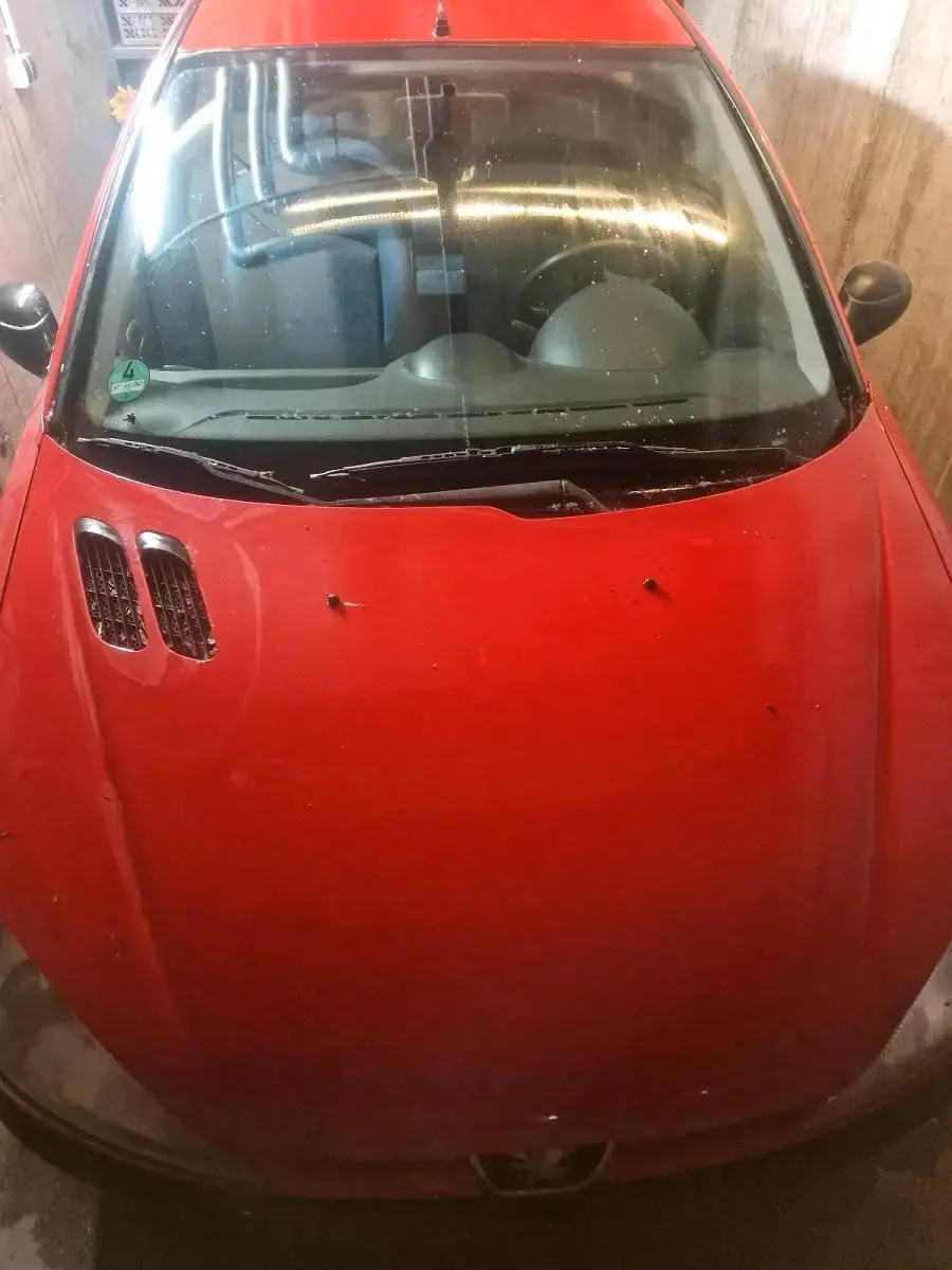 Gebraucht Peugeot 206 60 PS (44 kW) 2002 Rot Kleinwagen