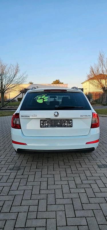 Gebraucht Skoda Octavia 110 PS (80 kW) 2016 Weiß Kleinwagen