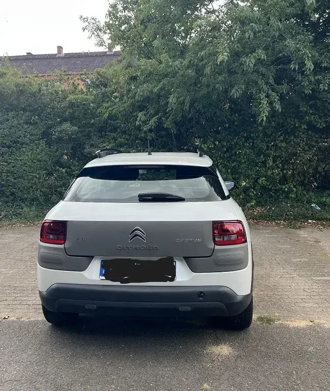 Gebraucht Citroën C4 Cactus PureTech 82 PS (60 kW) 2015 Weiß Kleinwagen