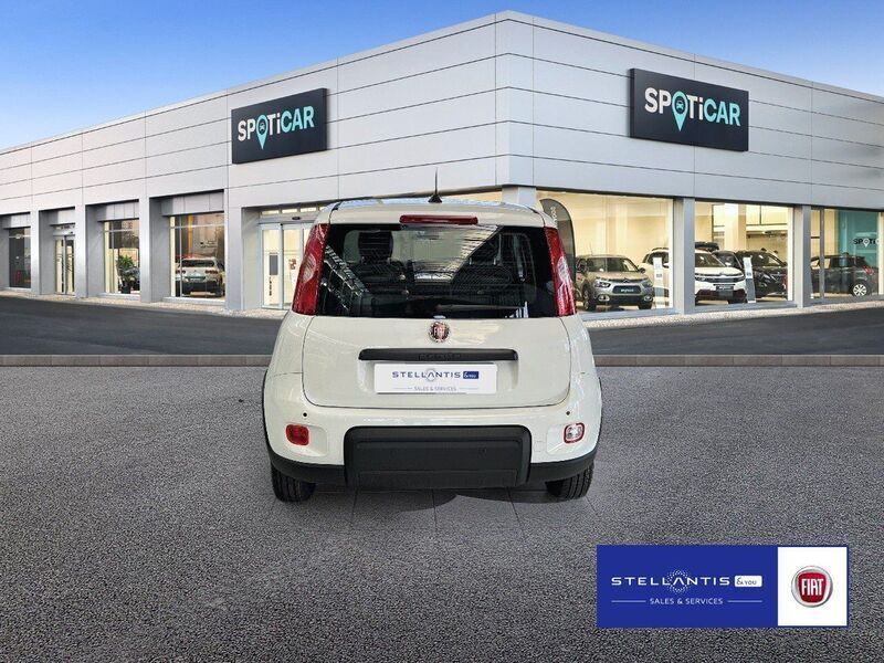 Neu Fiat Panda Cross Cross 69 PS (50 kW) 2025 Weiß Kleinwagen