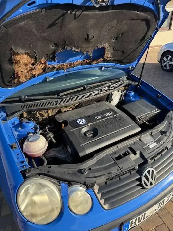 Gebraucht VW Polo Trendline 75 PS (55 kW) 2002 Blau Limousine