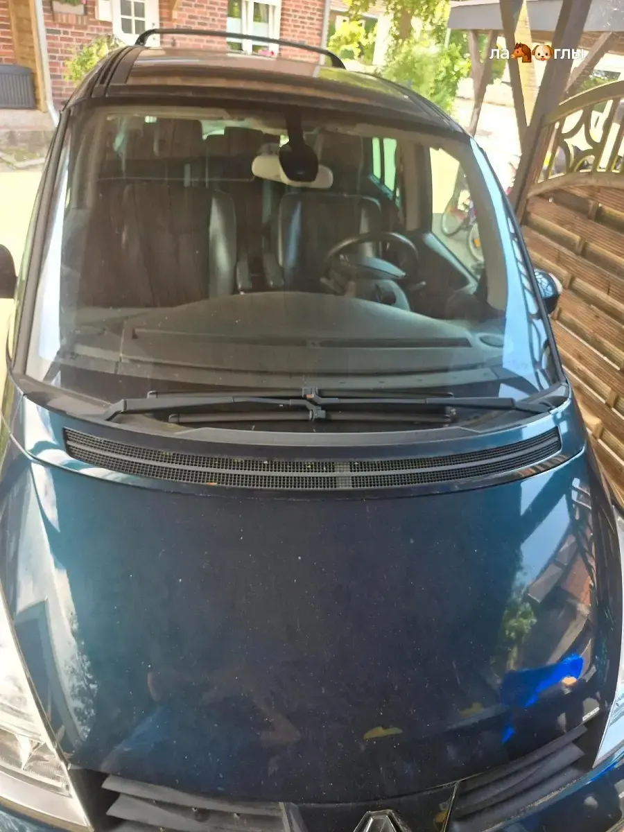 Gebraucht Renault Espace 170 PS (125 kW) 2007 Blau Van / Kleinbus