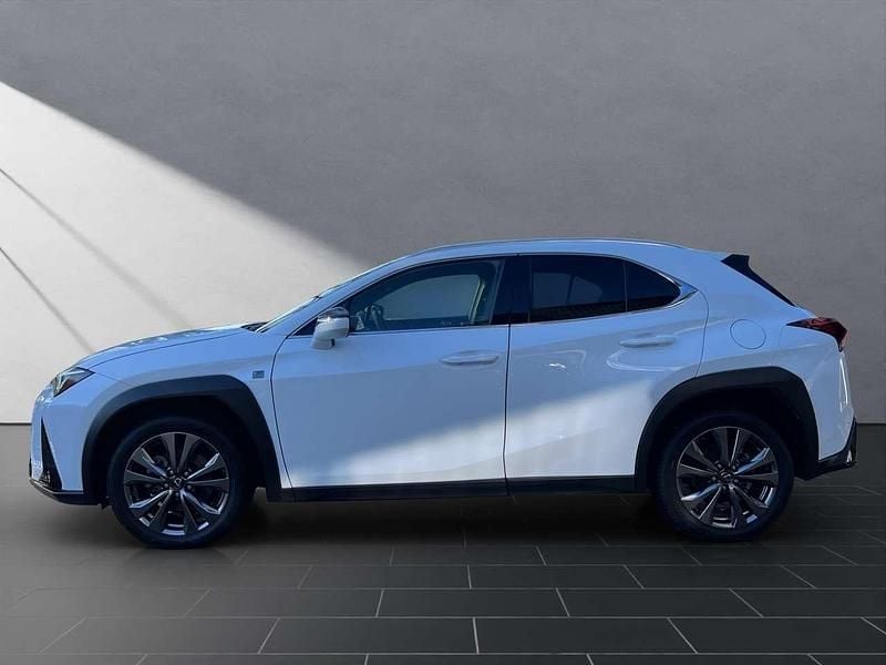 Gebraucht Lexus UX 250h Sport Line 152 PS (111 kW) 2023 Weiß SUV