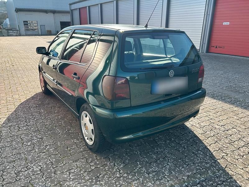 Gebraucht VW Polo 50 PS (36 kW) 1998 Grün Kleinwagen