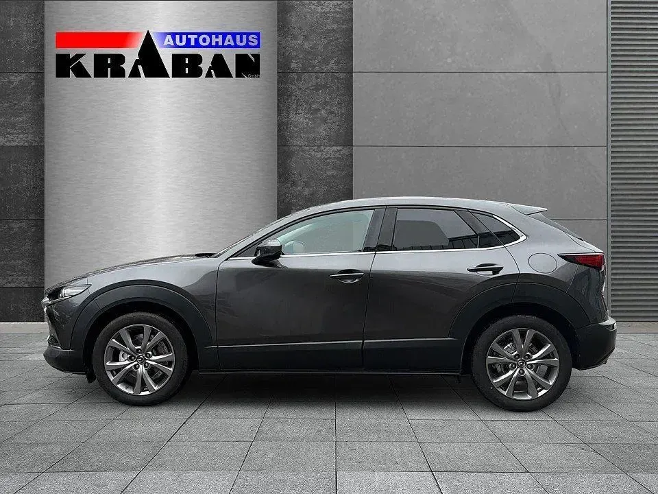 Gebraucht Mazda CX-30 Selection 150 PS (110 kW) 2020 Grau SUV