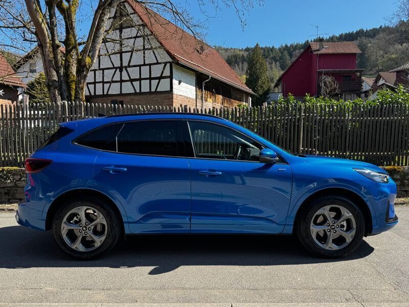 Neu Ford Kuga ST-Line 186 PS (136 kW) 2025 Braun SUV