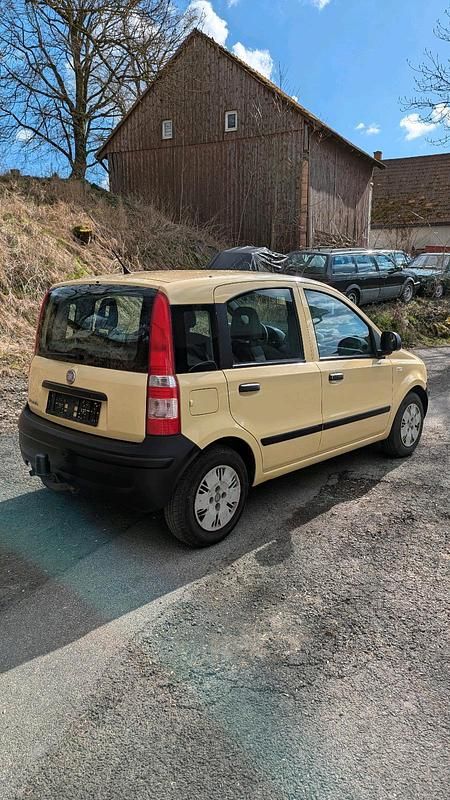 Gebraucht Fiat Panda Active 54 PS (39 kW) 2009 Beige Kleinwagen