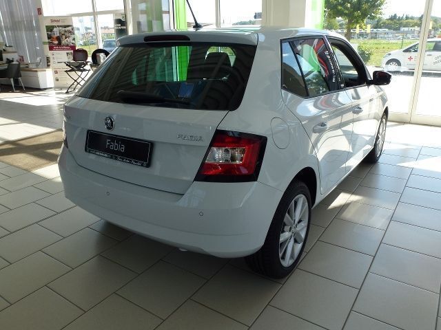Gebraucht Skoda Fabia Joy 90 PS (66 kW) 2016 Weiß metallic Kleinwagen