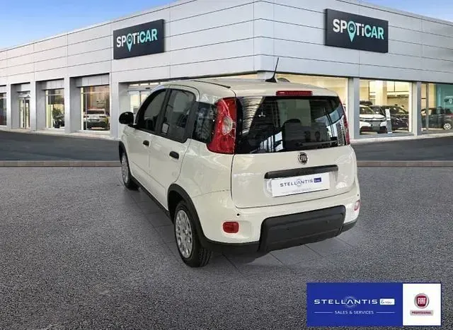 Neu Fiat Panda 69 PS (50 kW) 2025 Weiß Kleinwagen