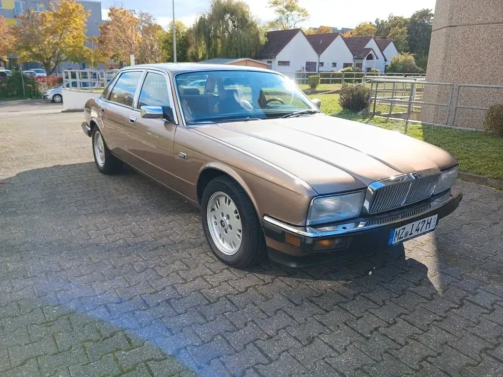 Gebraucht Jaguar XJ40 197 PS (144 kW) 1989 Beige Limousine