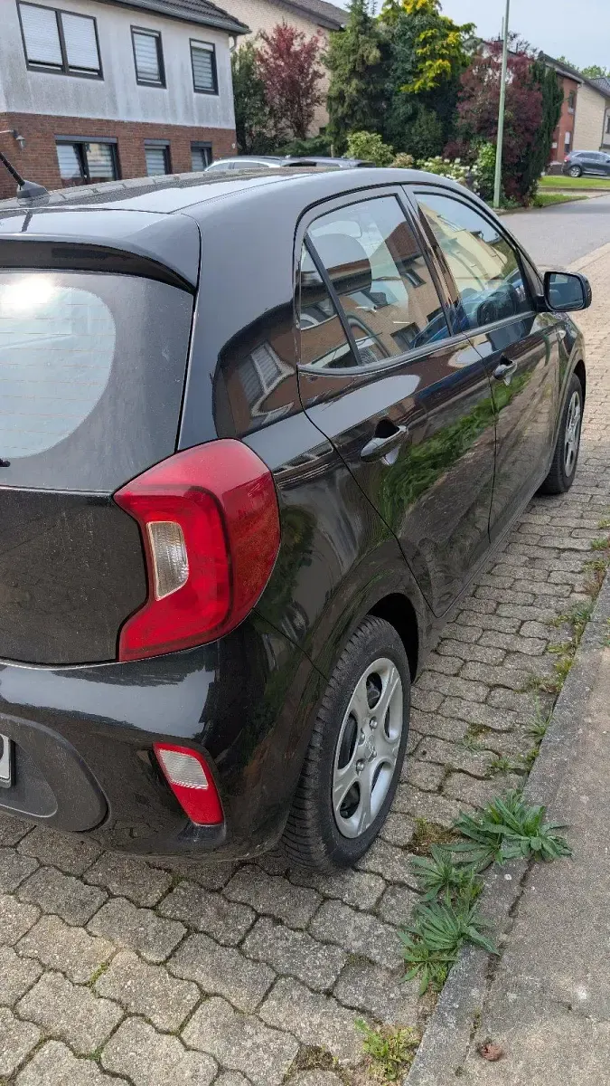 Brugt Kia Picanto 67 HK (49 kW) 2017 Sort Hatchback