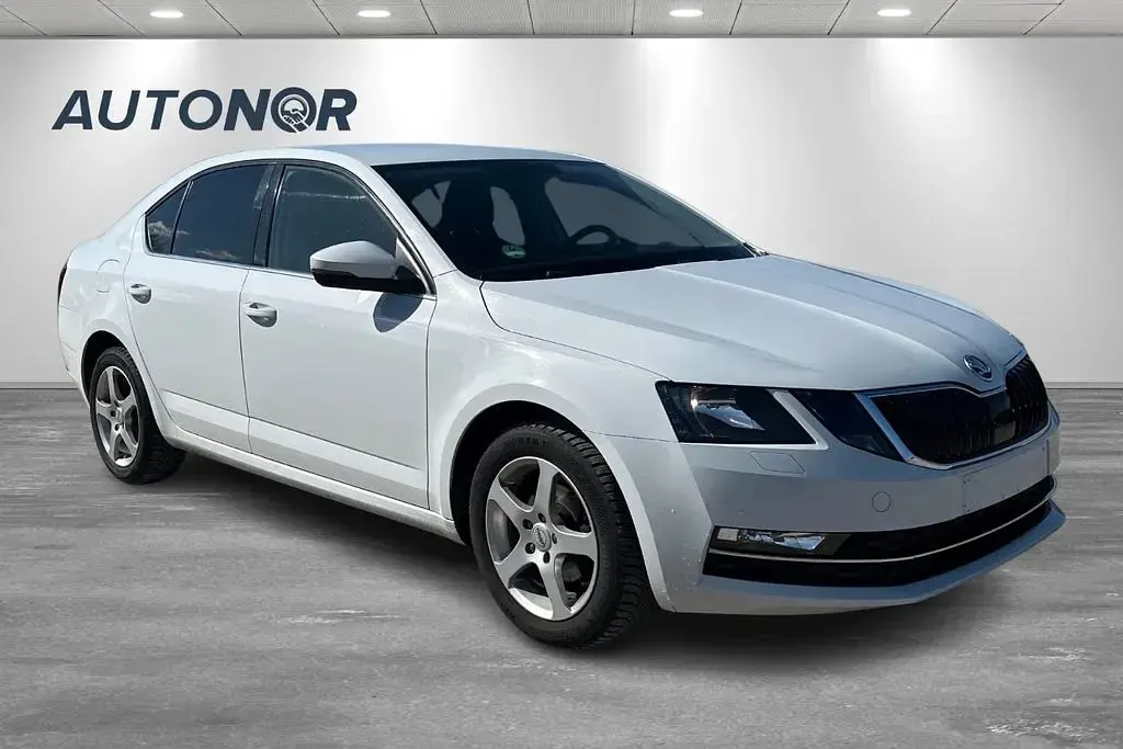 Gebraucht Skoda Octavia 116 PS (85 kW) 2019 Weiß Limousine