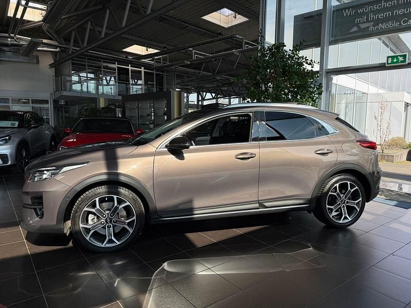 Gebraucht Kia XCeed Platinum Edition 204 PS (150 kW) 2021 Copper stone (metallic) SUV