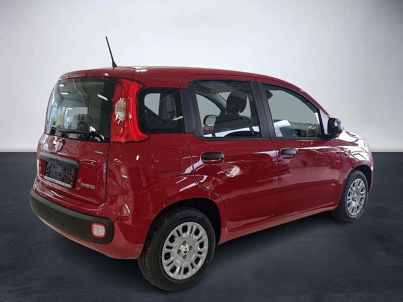 Neu Fiat Panda 69 PS (50 kW) 2025 Passione rot Kleinwagen