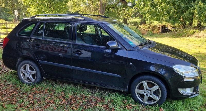 Schwarz Gebraucht 2011 Skoda Fabia Kleinwagen | 1.500 € (Superpreis) - Bild 1/4