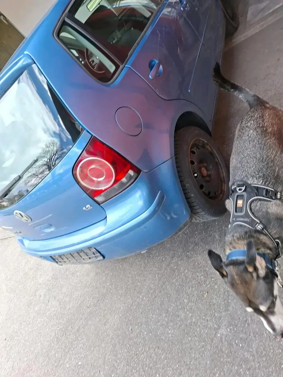 Usata VW Polo 54 CV (39 kW) 2006 Blu Utilitaria