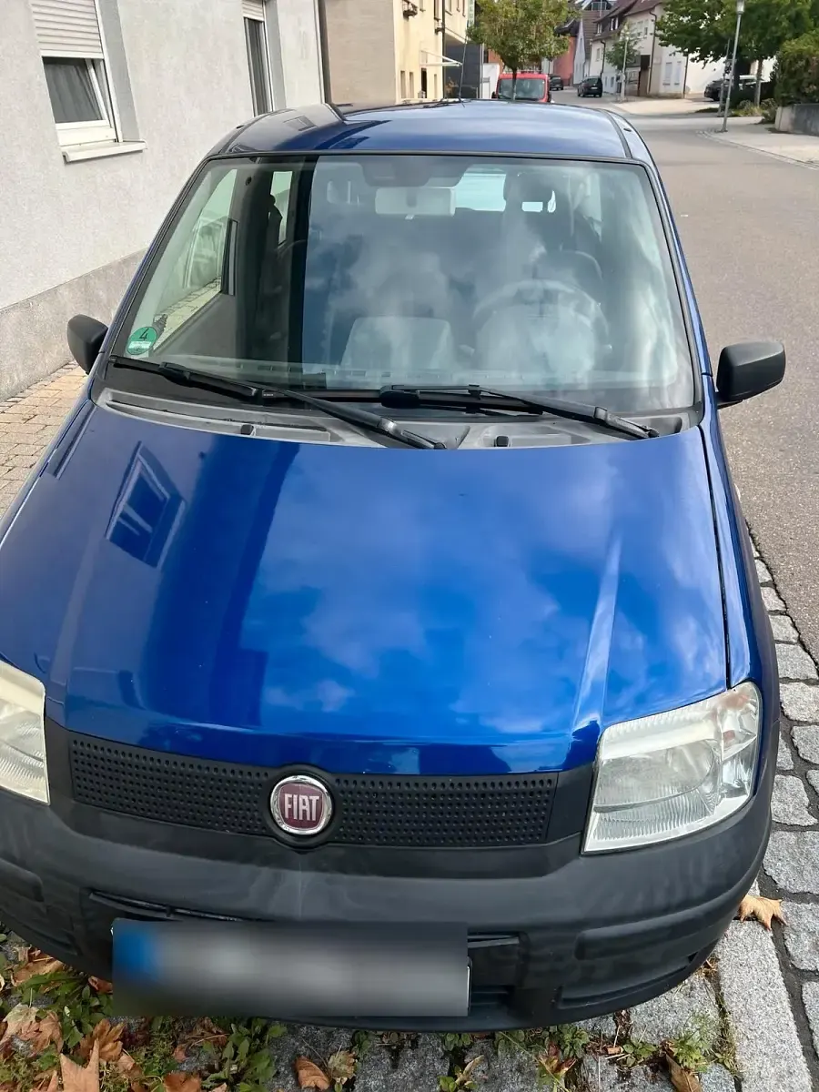 Gebraucht Fiat Panda 54 PS (39 kW) 2009 Blau Kleinwagen
