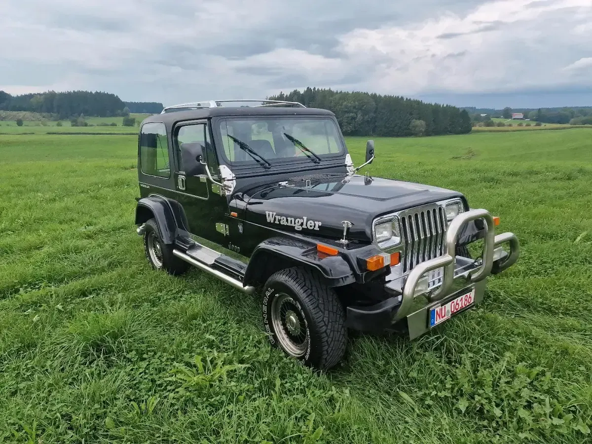 Gebraucht Jeep Wrangler 180 PS (132 kW) 1992 Schwarz SUV
