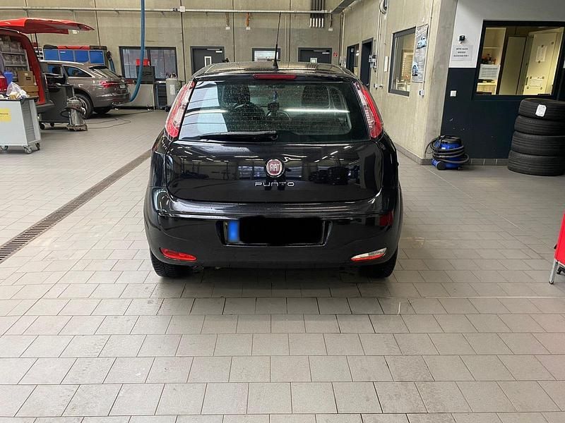 Gebraucht Fiat Punto 69 PS (50 kW) 2013 Schwarz Kleinwagen