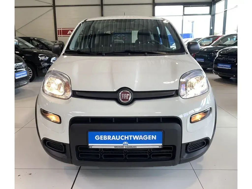 Gebraucht Fiat Panda 69 PS (50 kW) 2023 Colore esterno (weiss) Kleinwagen