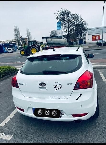 Second-hand Kia Ceed 115 CP (84 kW) 2011 Alb Hatchback