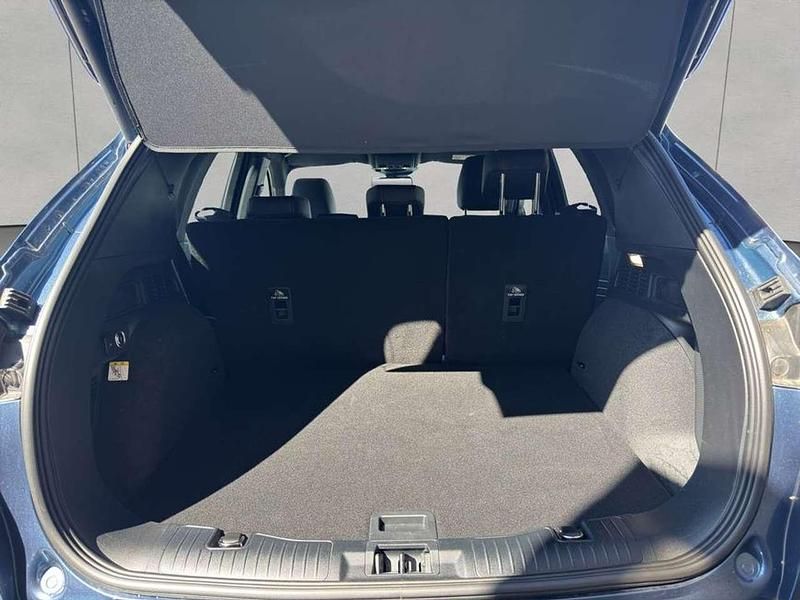 Gebraucht Ford Kuga ST-Line X 150 PS (110 kW) 2024 Blau SUV