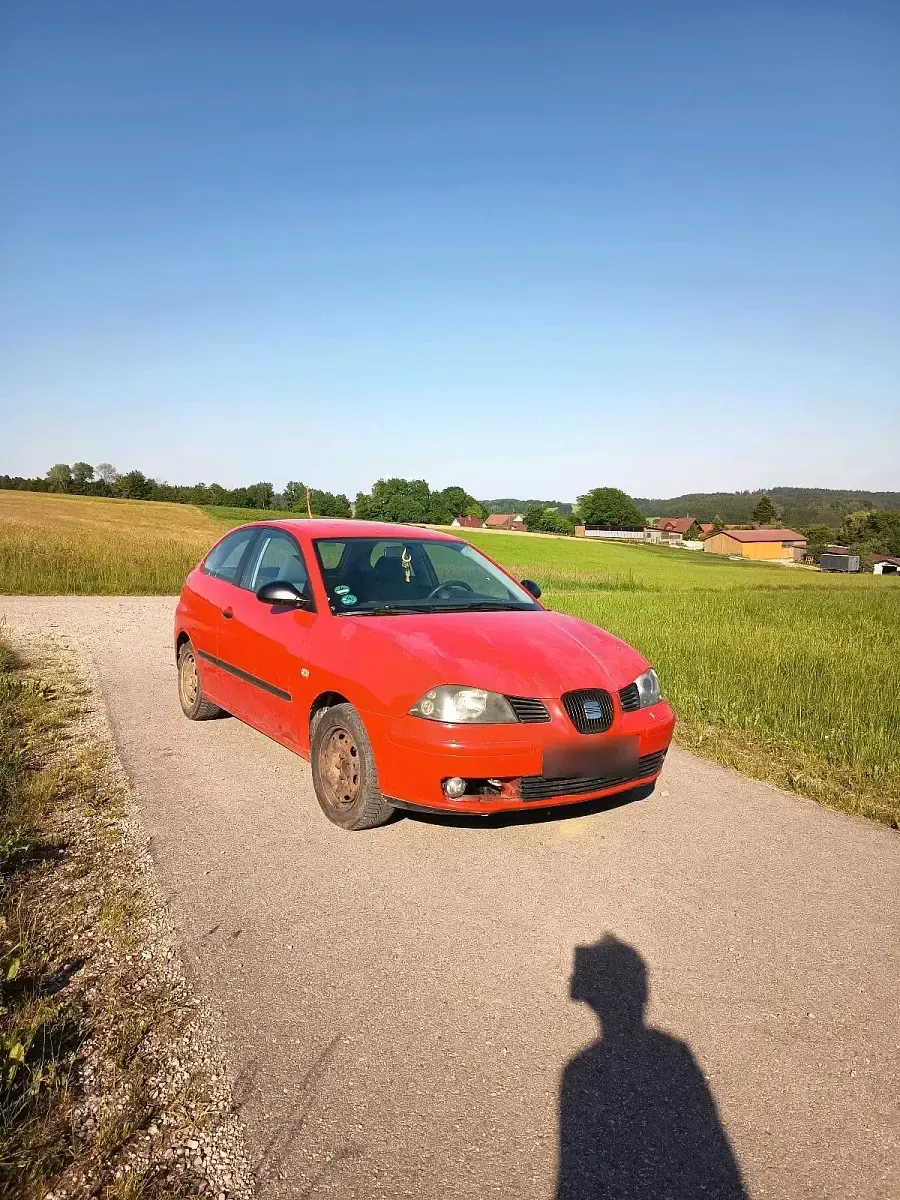 Używany Seat Ibiza 75 KM (55 kW) 2004 Hatchback