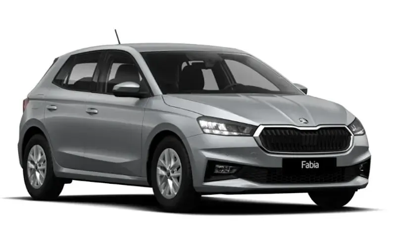 Gebraucht Skoda Fabia Selection 95 PS (69 kW) 2026 Kleinwagen