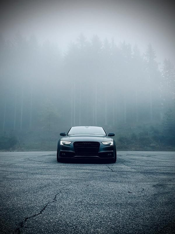 Gebraucht Audi A5 Black Edition 177 PS (130 kW) 2014 Grau Coupé