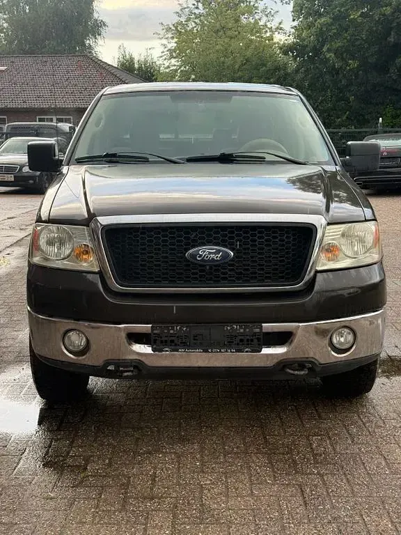 Gebraucht Ford V8 305 PS (224 kW) 2007 Braun Pickup