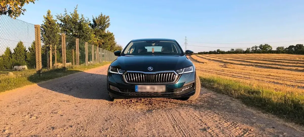 Gebraucht Skoda Octavia 204 PS (150 kW) 2021 Blau Limousine