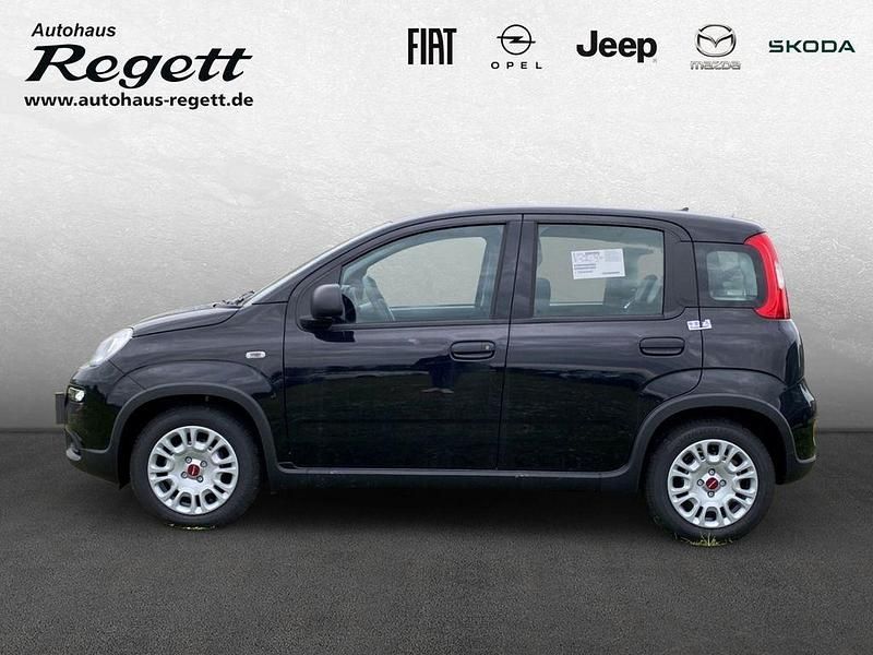 Gebraucht Fiat Panda 69 PS (50 kW) 2024 Schwarz Kleinwagen