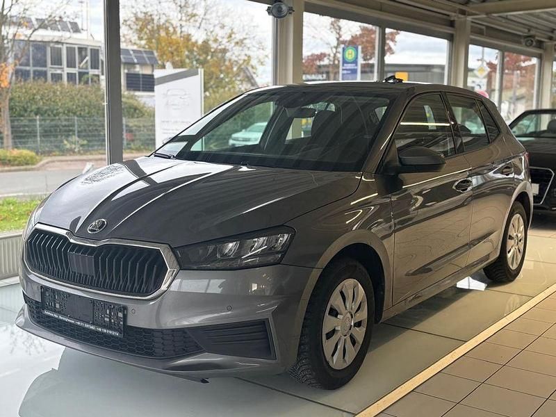 Grau Gebraucht 2023 Skoda Fabia Ambition SUV | 13.800 € - Bild 1/4