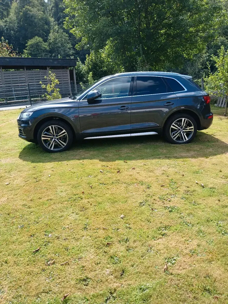 Gebraucht Audi Q5 Sport 192 PS (141 kW) 2019 Grau SUV