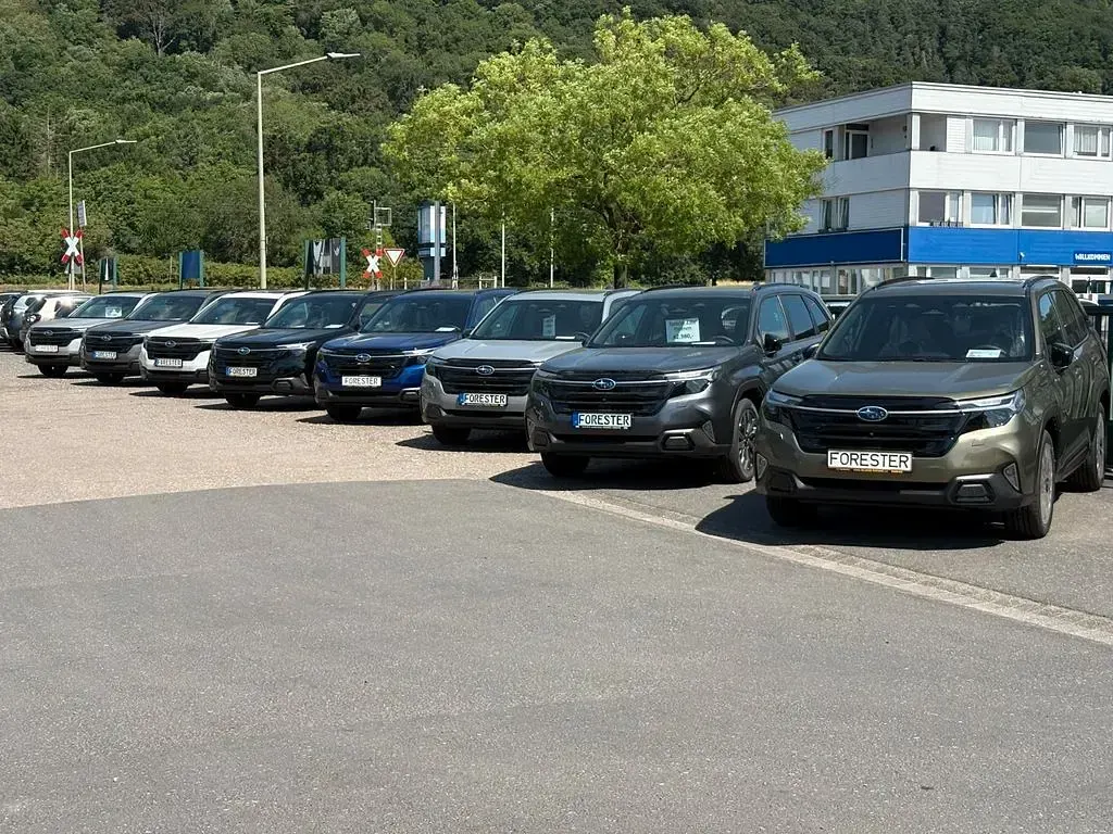 Neu Subaru Forester Platinum 136 PS (100 kW) 2025 Grau SUV