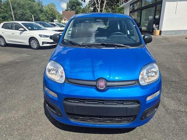 Neu Fiat Panda 69 PS (50 kW) 2025 Italia blau met. Kleinwagen