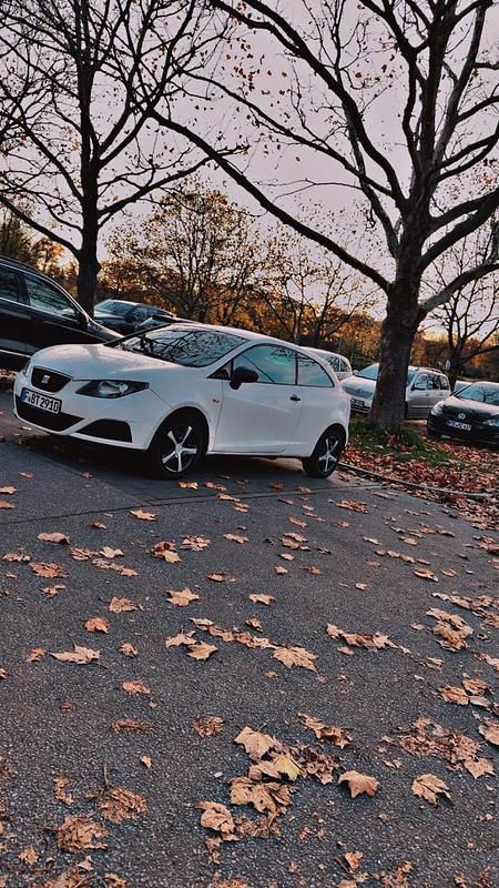 Weiß Gebraucht 2010 Seat Ibiza Kleinwagen | 2.150 € (Fairer Preis) - Bild 1/4