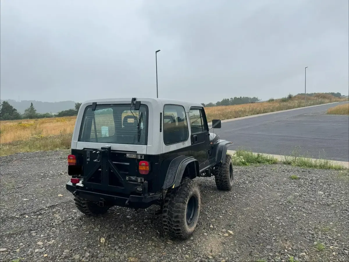 Gebraucht Jeep Wrangler 178 PS (130 kW) 1992 Schwarz SUV