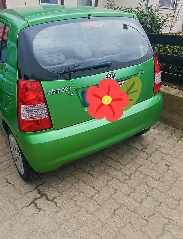 Gebraucht Kia Picanto 61 PS (44 kW) 2007 Grün Kleinwagen