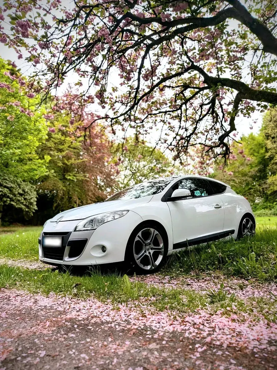 Gebraucht Renault Mégane Coupé 180 PS (132 kW) 2010 Weiß Coupé