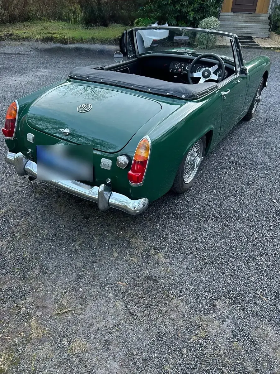 Occasion MG Midget 54 ch (39 kW) 1967 Vert Cabriolet