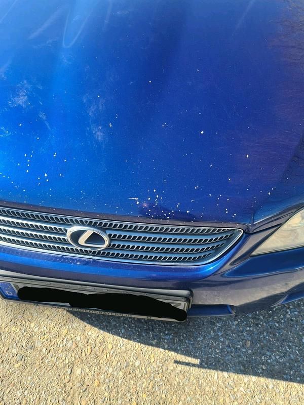 Gebraucht Lexus IS200 155 PS (114 kW) 2000 Blau Limousine