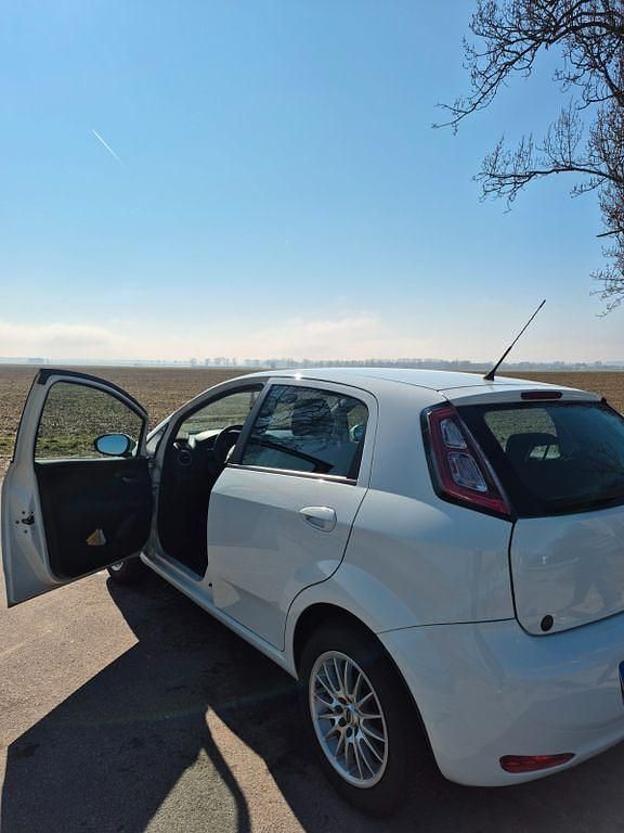 Gebraucht Fiat Punto 69 PS (50 kW) 2013 Weiß Kleinwagen