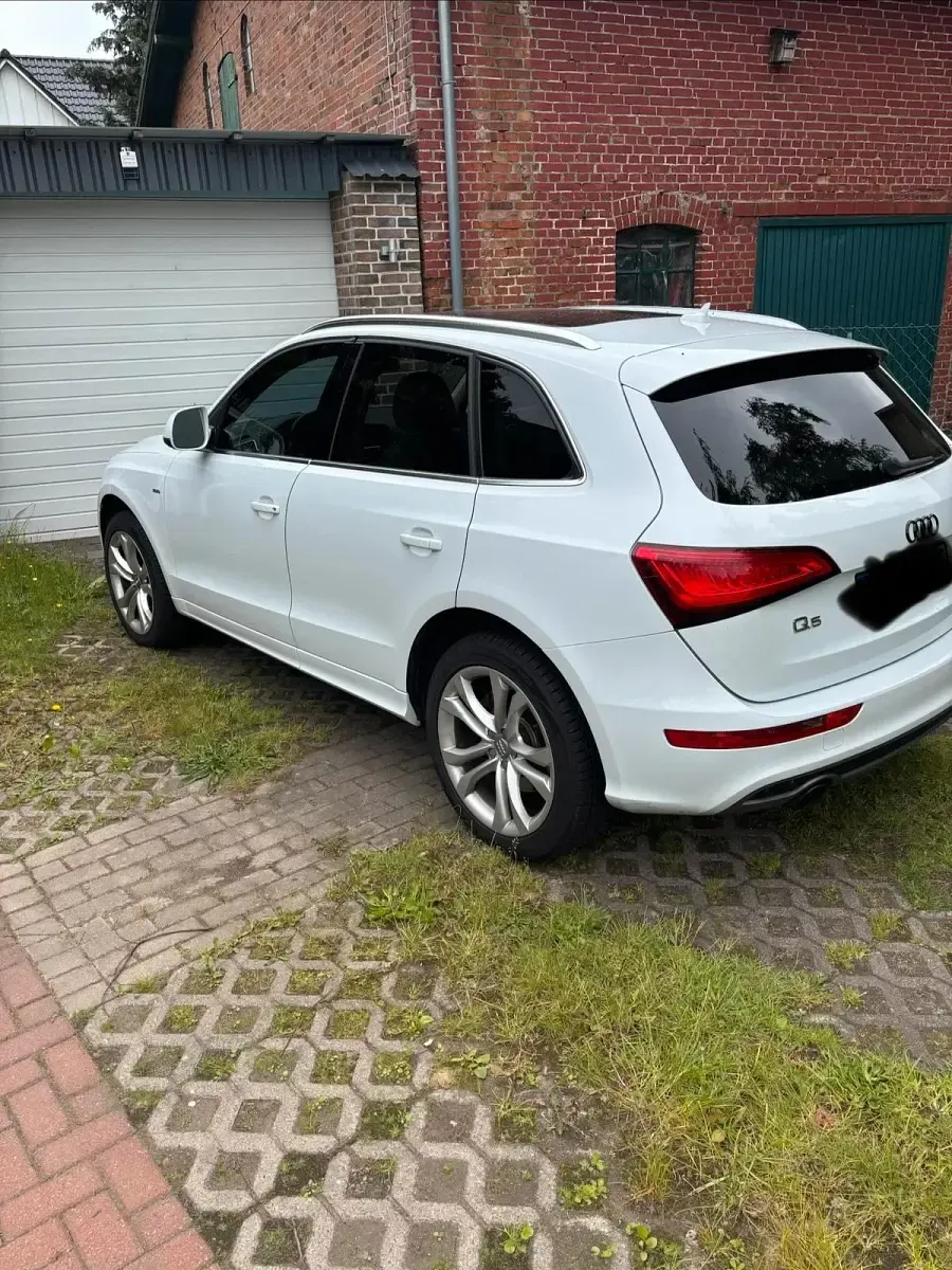 Gebraucht Audi Q5 S-Line 272 PS (200 kW) 2015 Weiß SUV